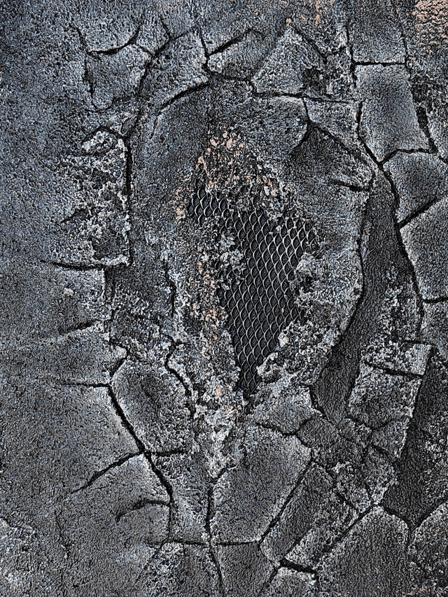 "Conqueror" - 33 x 41 cm