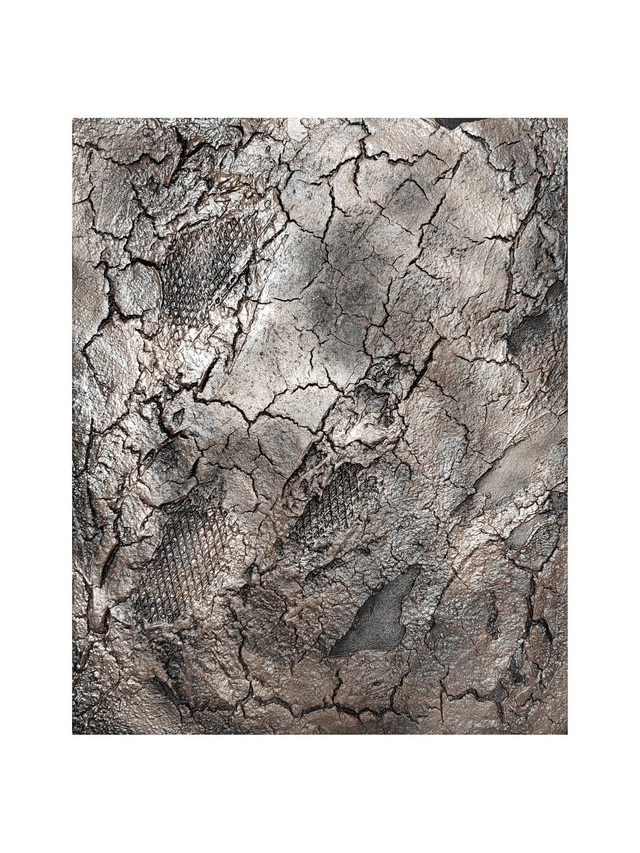 "Scorched but alive" - 33 x 41 cm