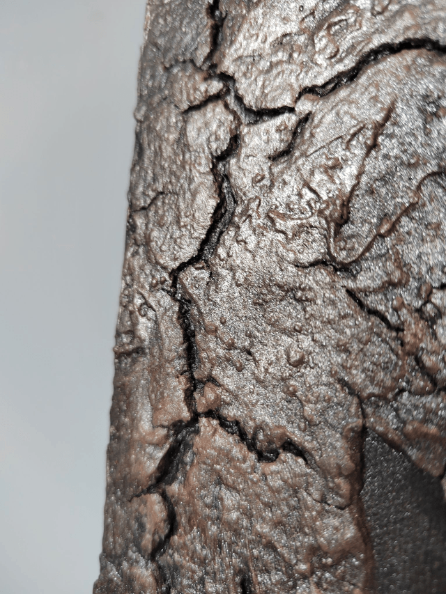 "Scorched but alive" - 33 x 41 cm
